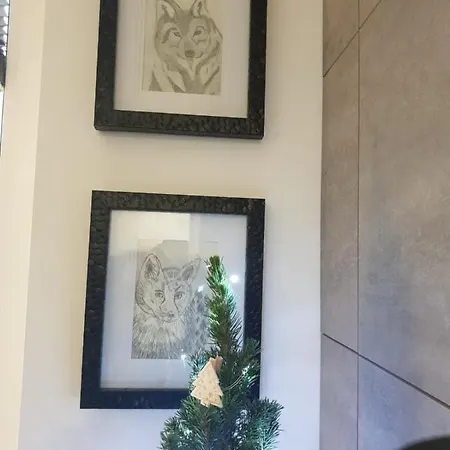 Apartmán Zaczarowany - 5d Świeradów-Zdrój